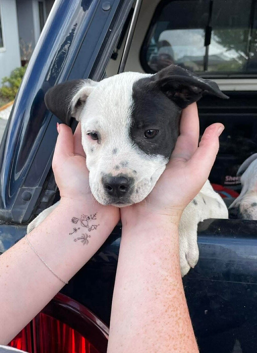 Gallery image: Cassie