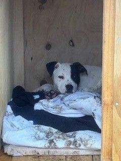 Gallery image: Cassie