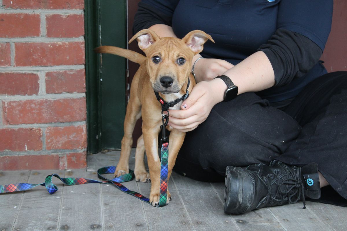 Gallery image: Missy