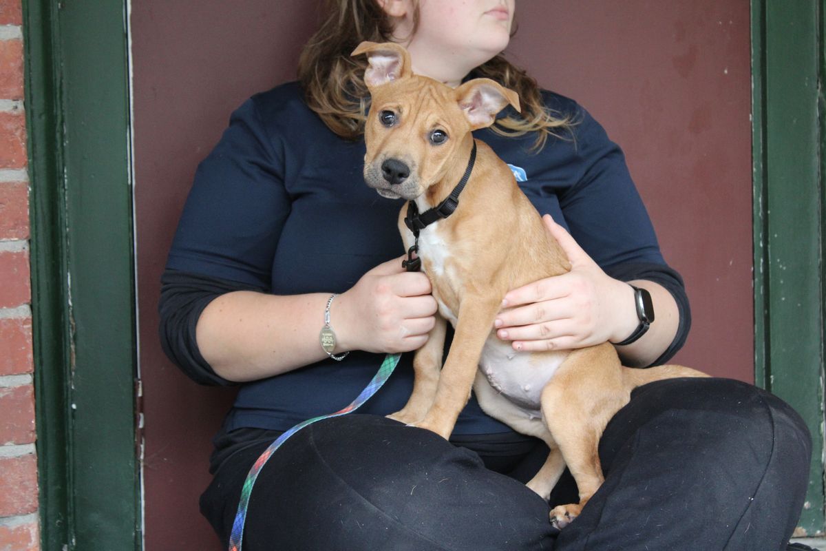 Gallery image: Missy