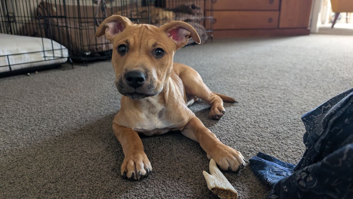 Gallery image: Missy