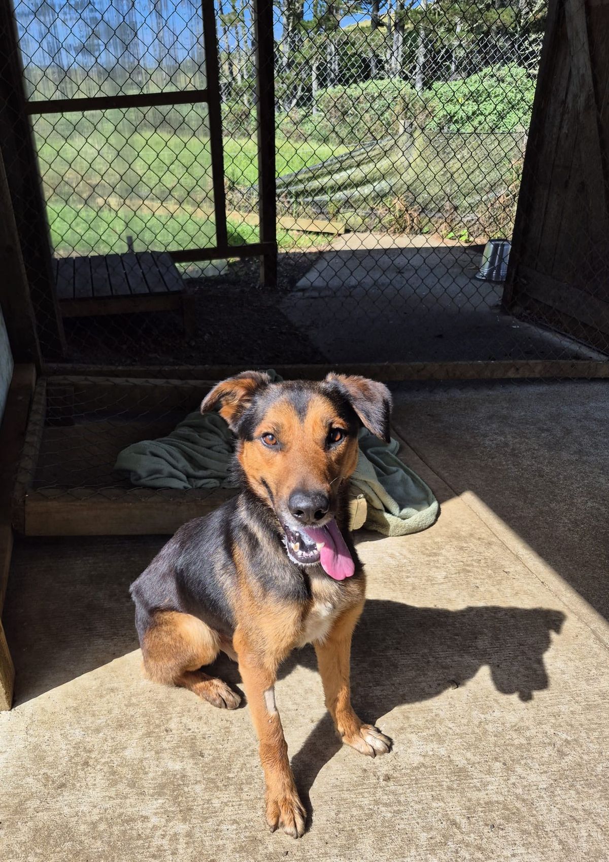 Gallery image: Diego