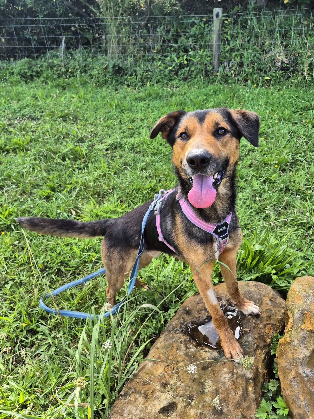 Gallery image: Diego