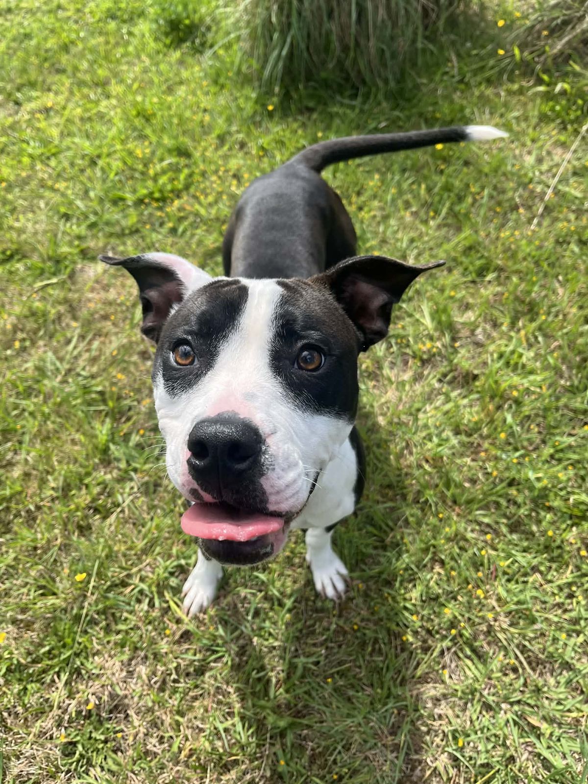 Gallery image: Emily 