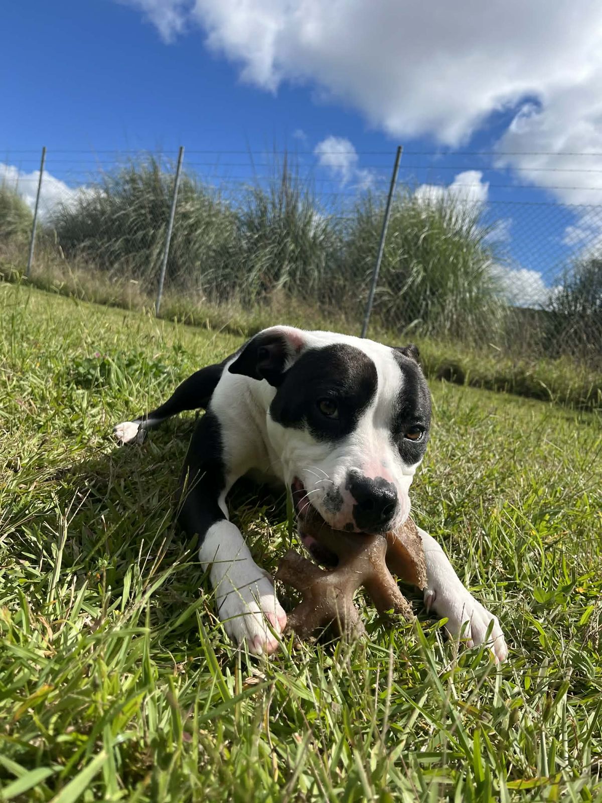 Gallery image: Emily 