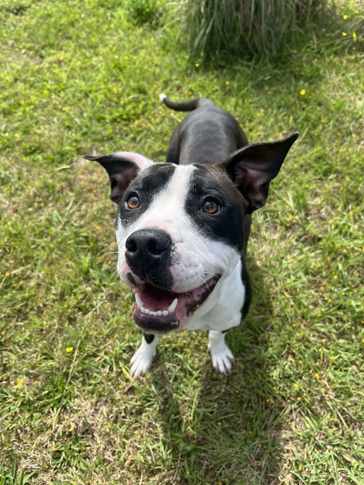 Gallery image: Emily 