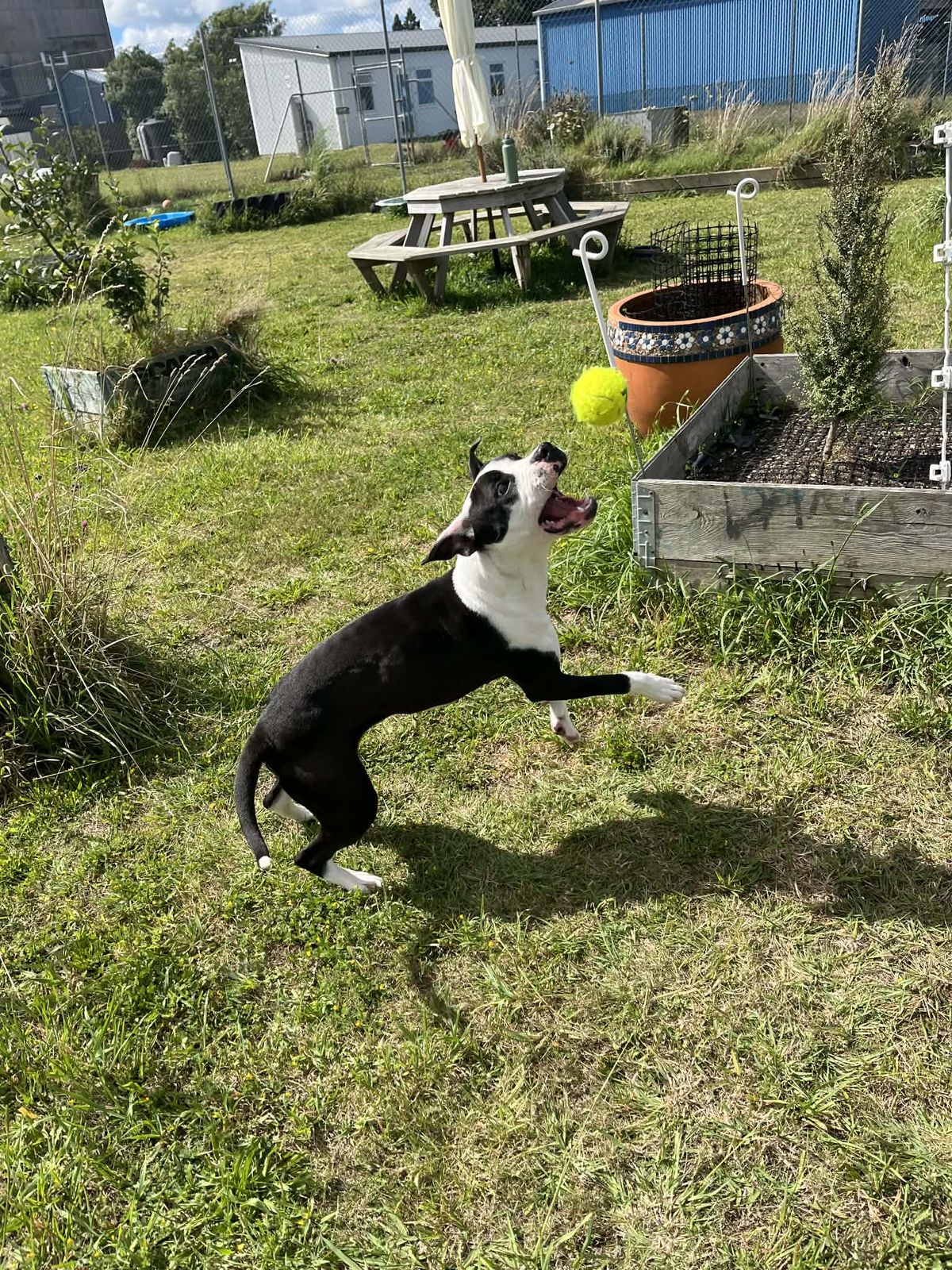 Gallery image: Emily 