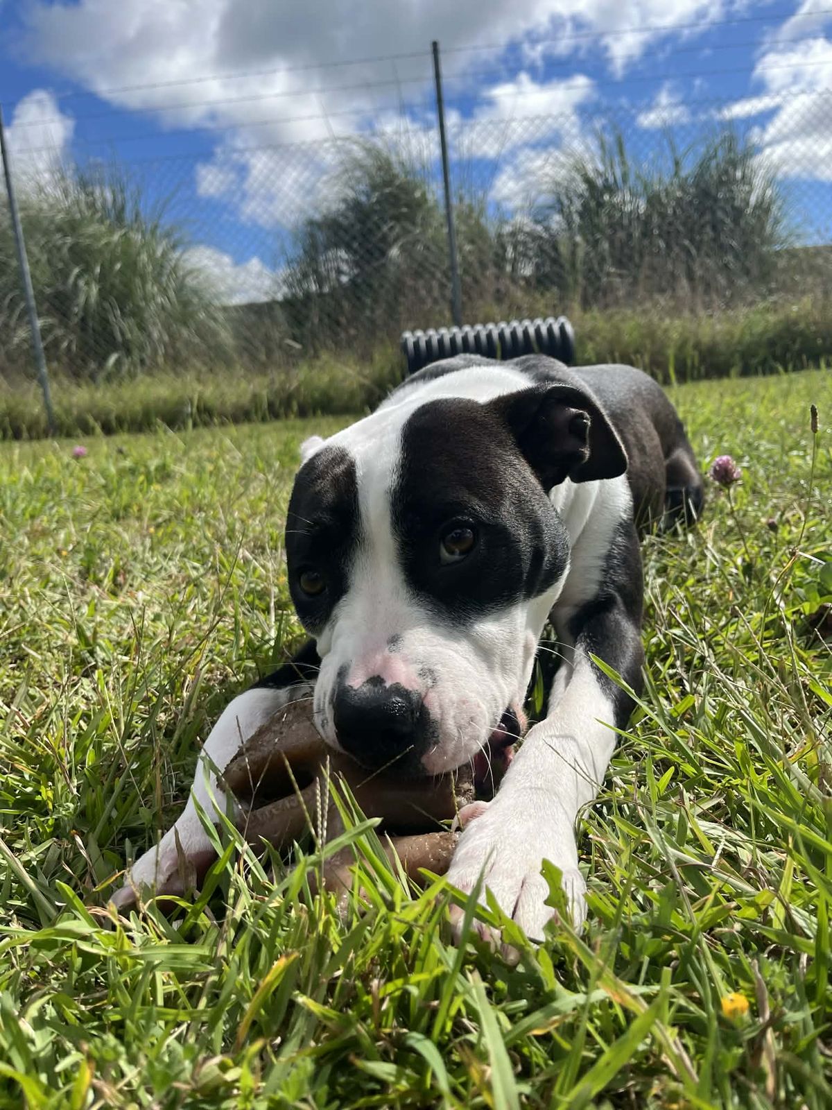 Gallery image: Emily 