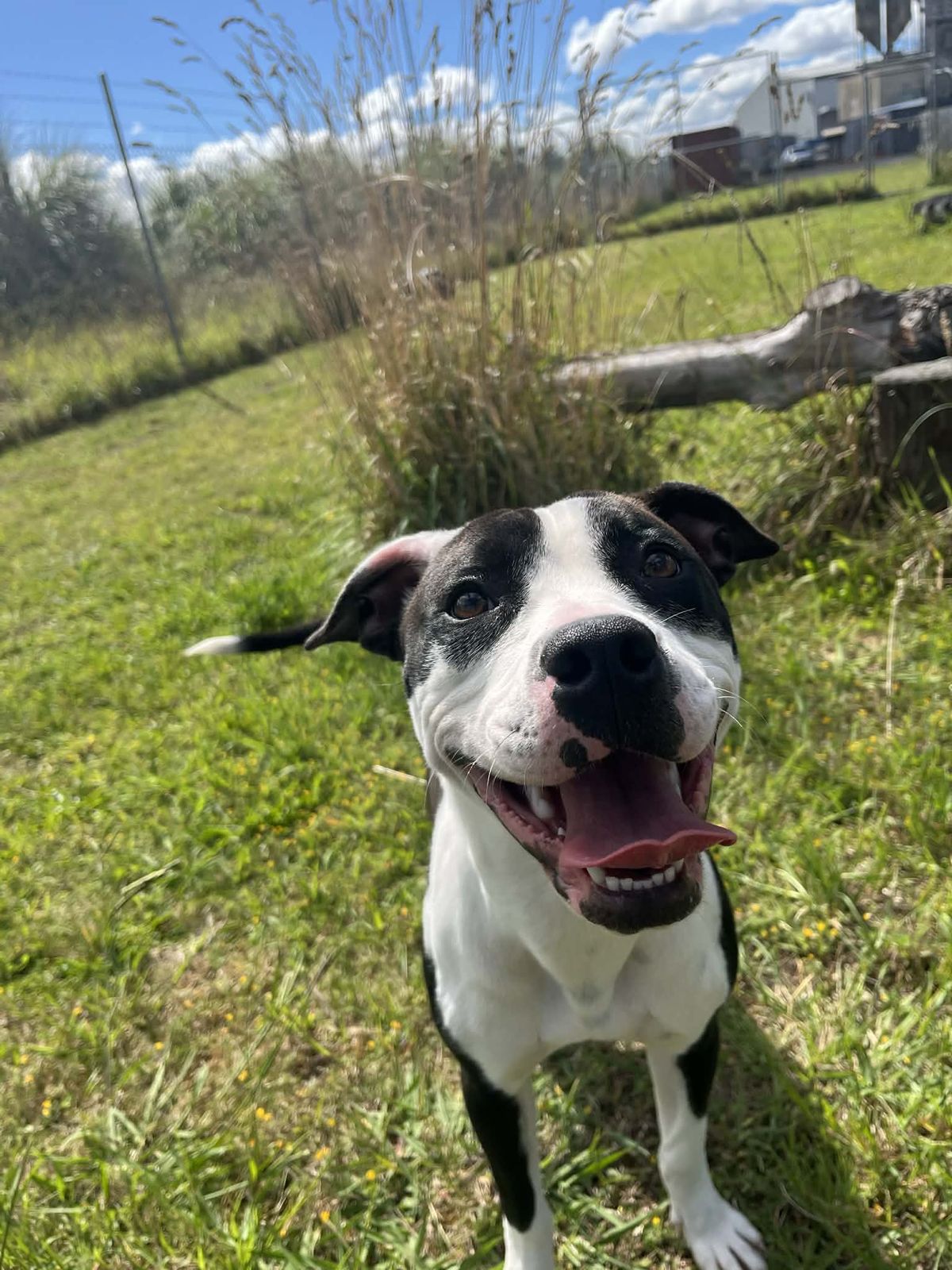 Gallery image: Emily 