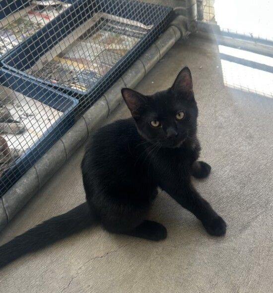 Gallery image: Tater