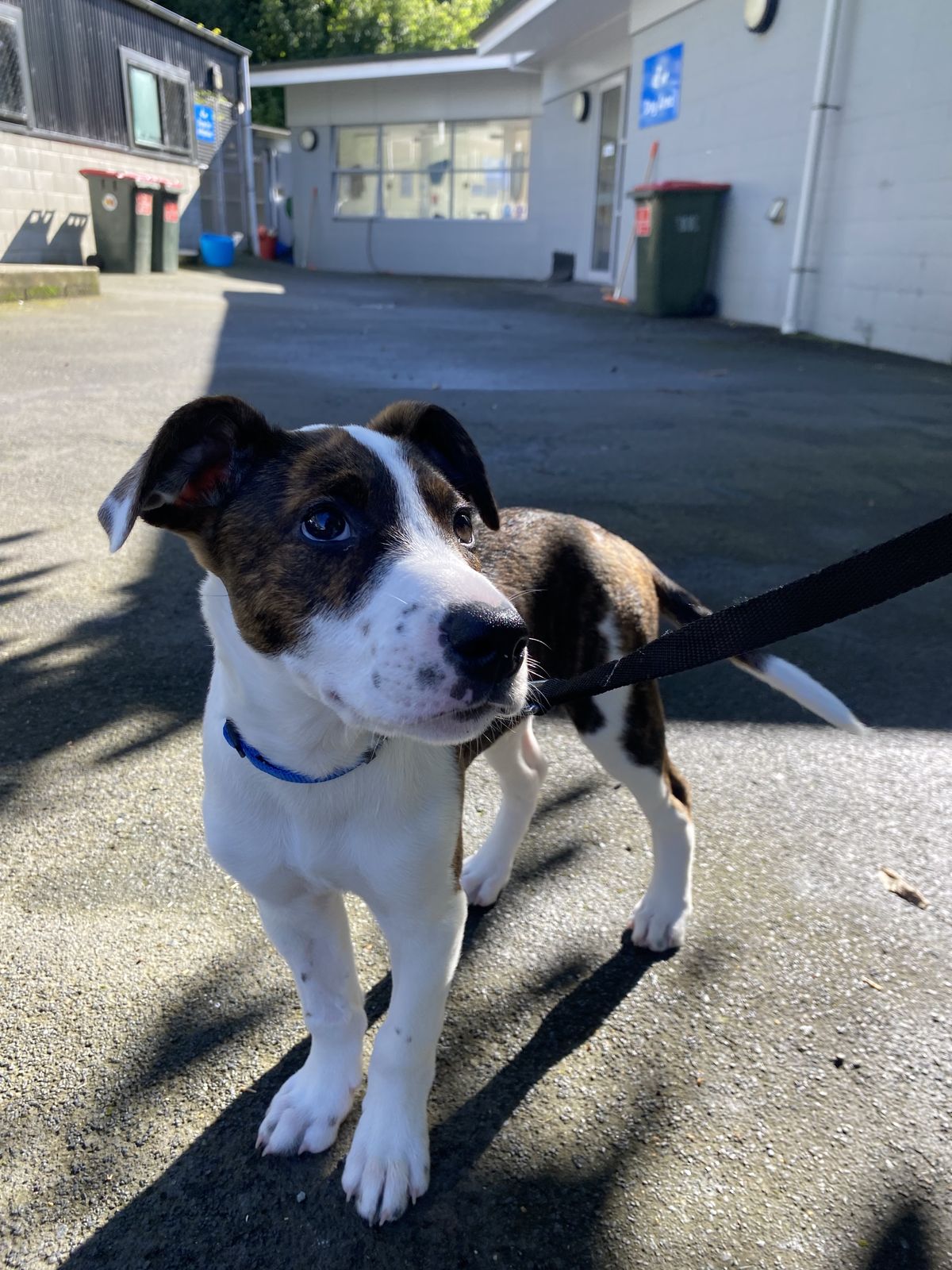 Gallery image: Edward