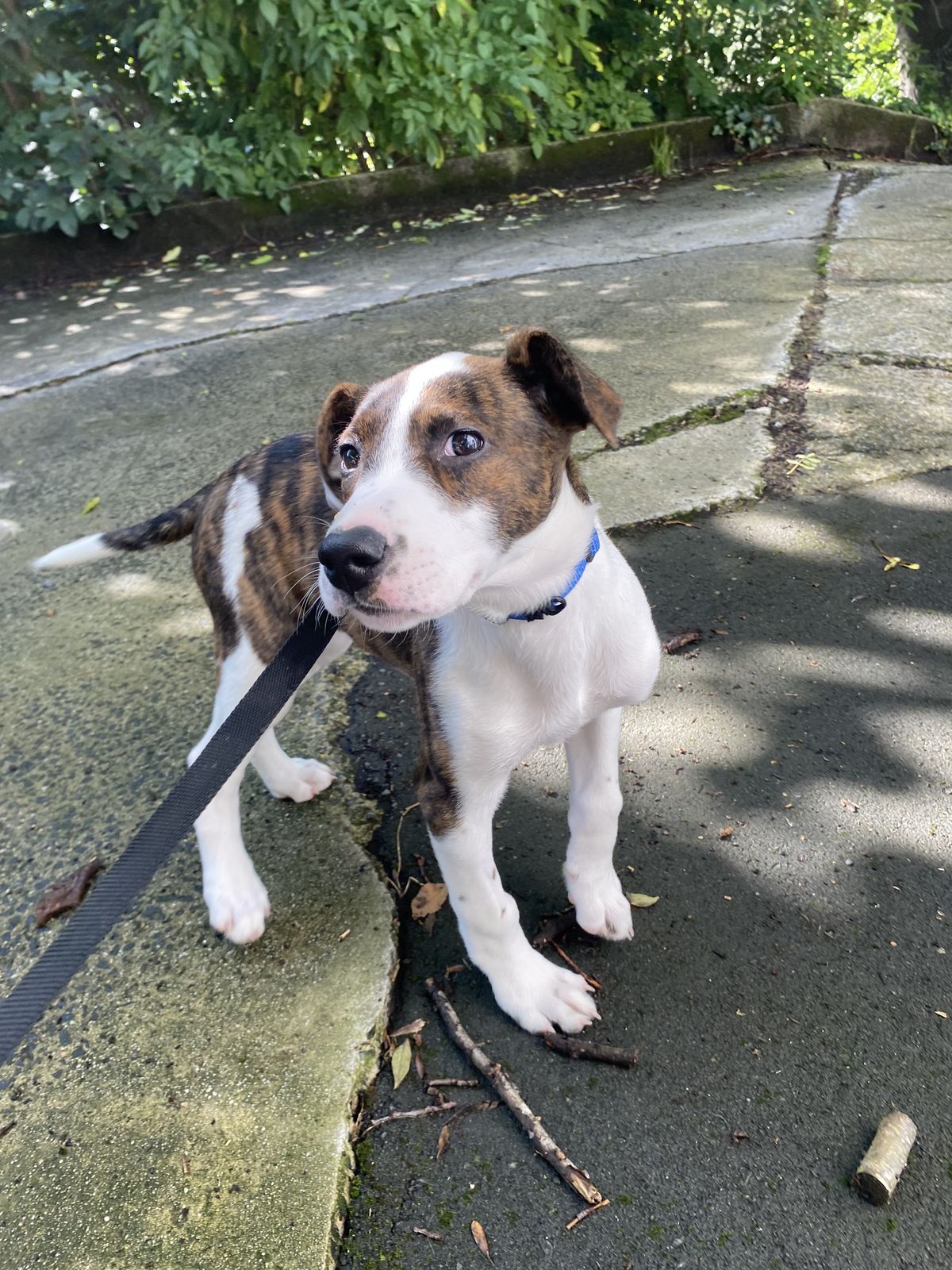 Gallery image: Edward