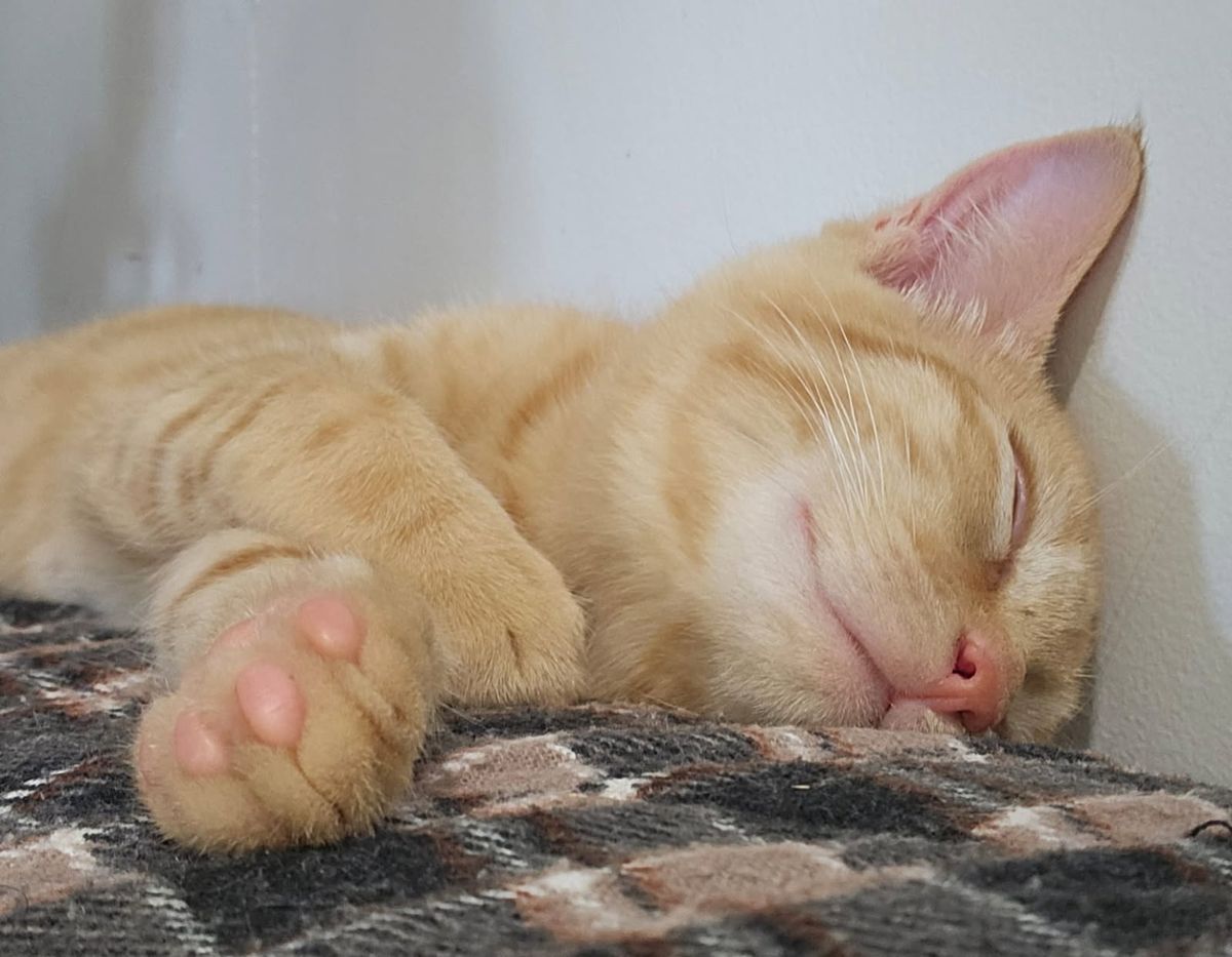 Gallery image: Dannielle