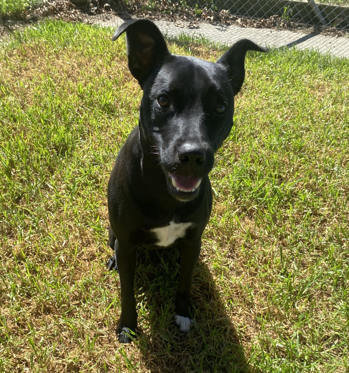 Gallery image: Jackson