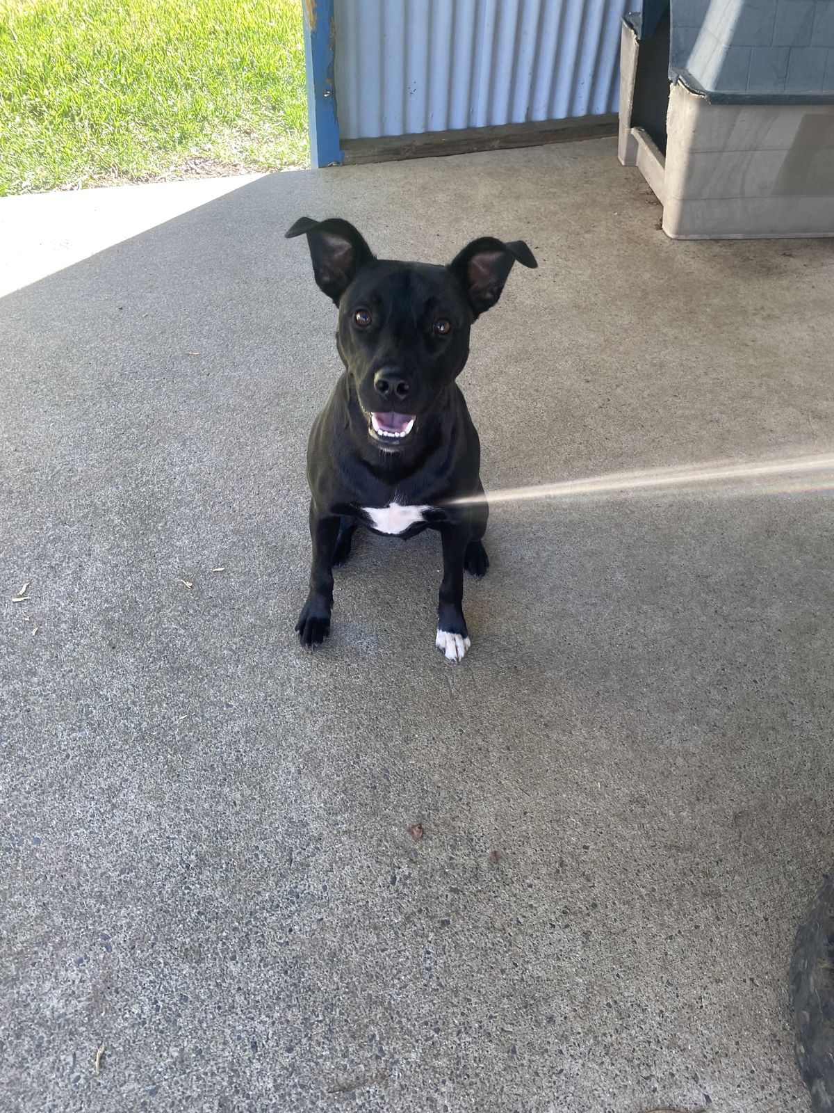 Gallery image: Jackson