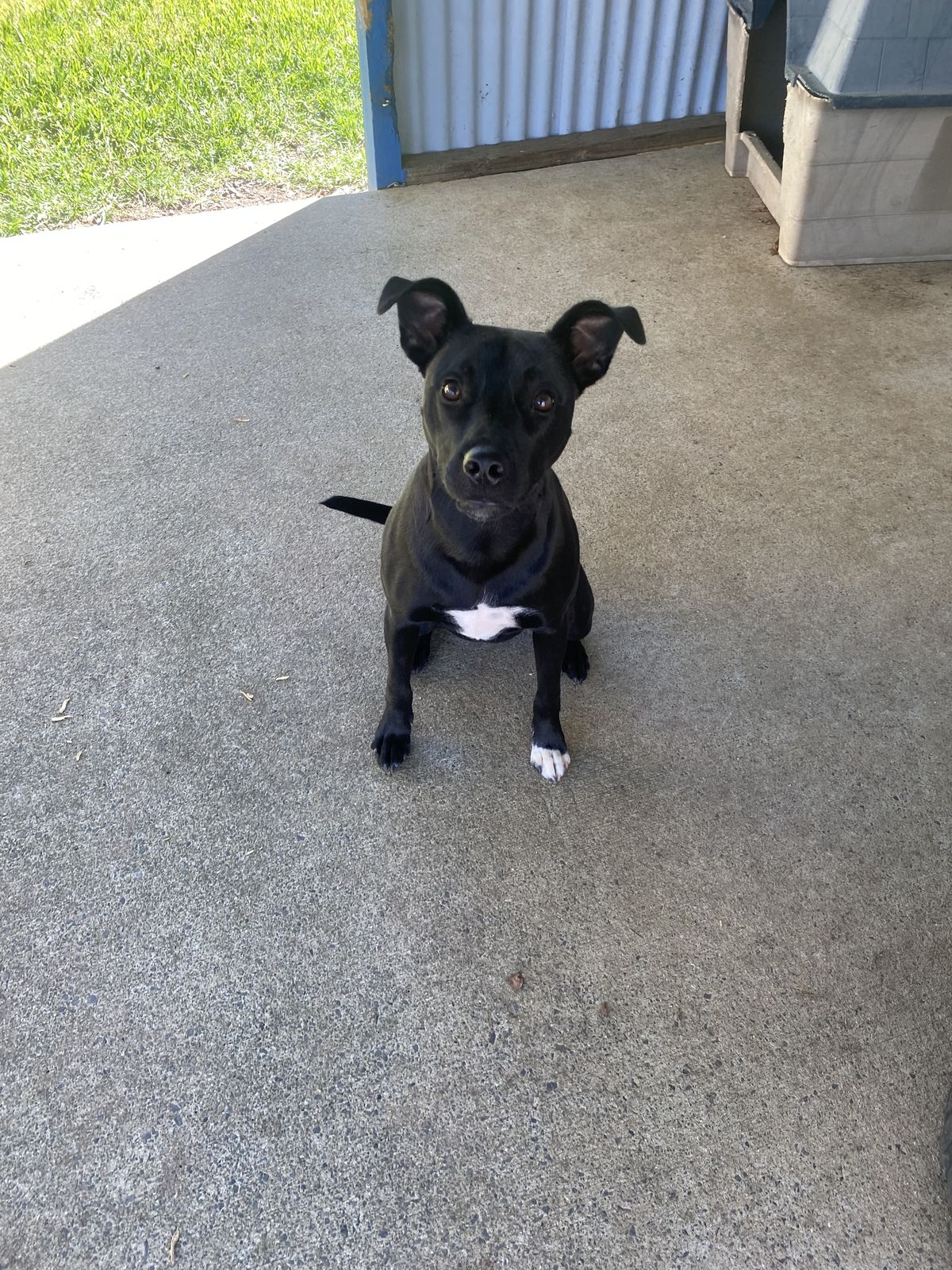 Gallery image: Jackson