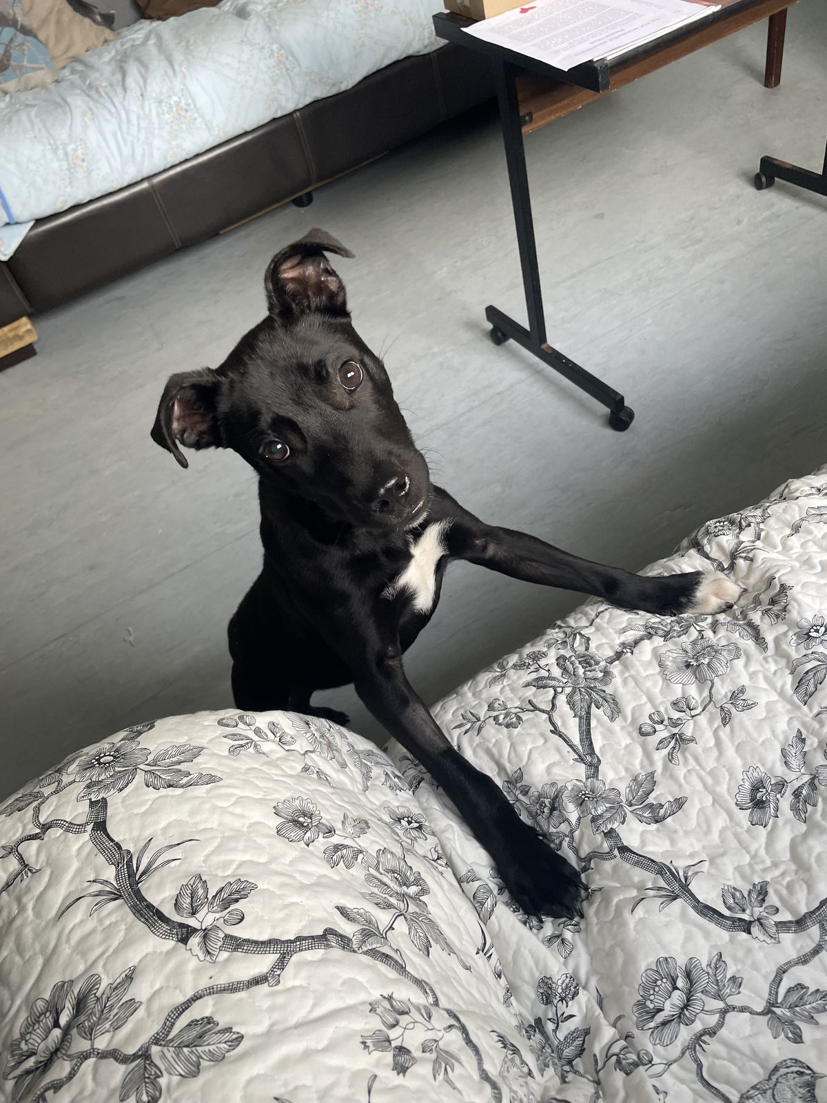 Gallery image: Jackson