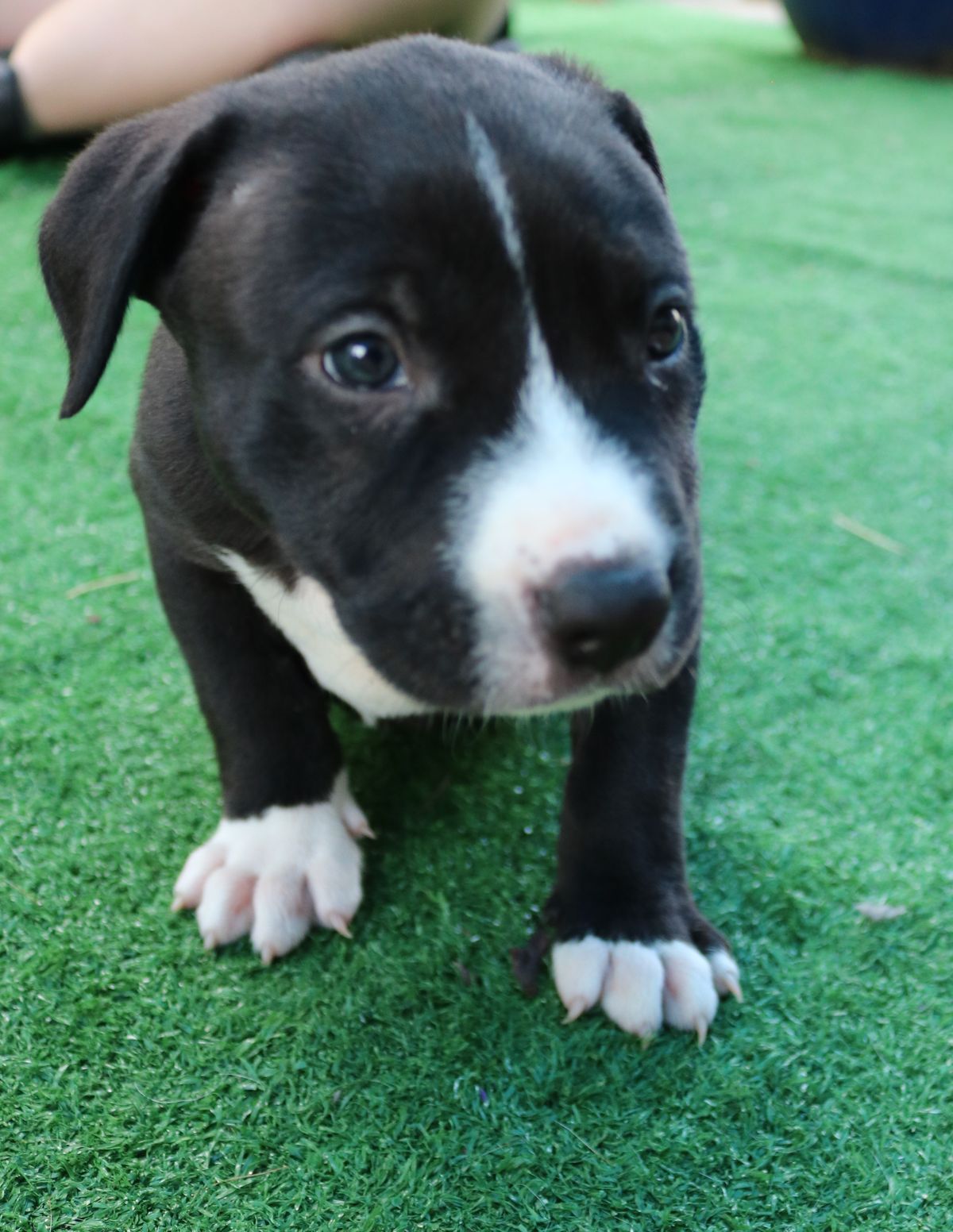 Gallery image: Bingley