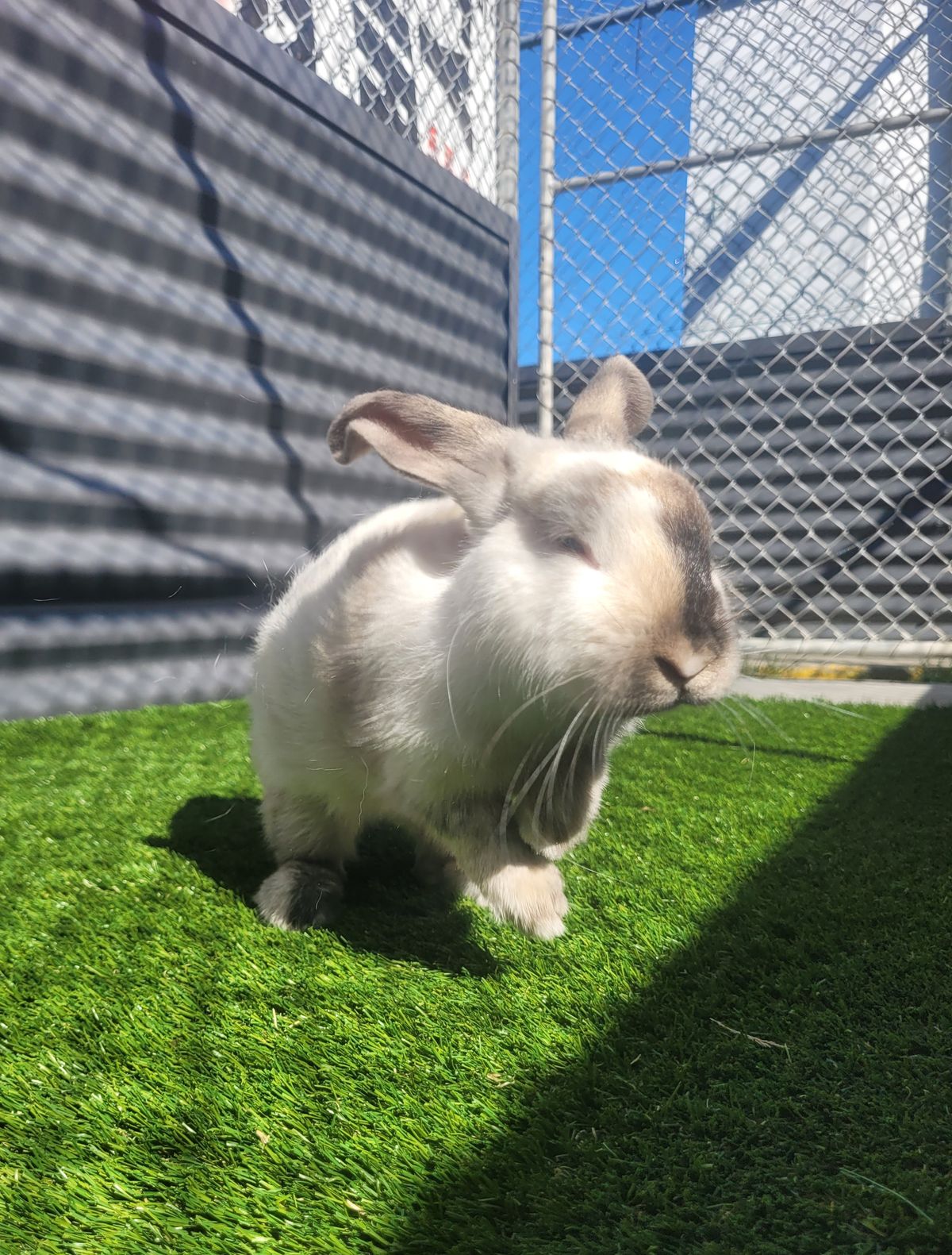 Gallery image: Cheesecake