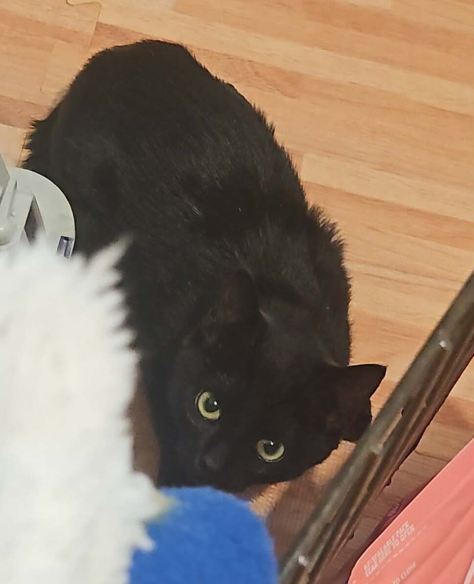 Gallery image: Karen