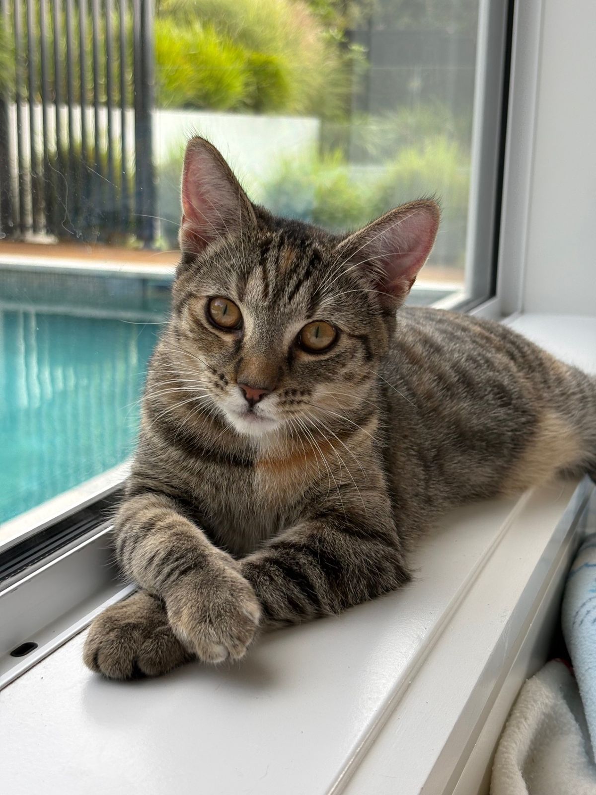 Gallery image: Millie