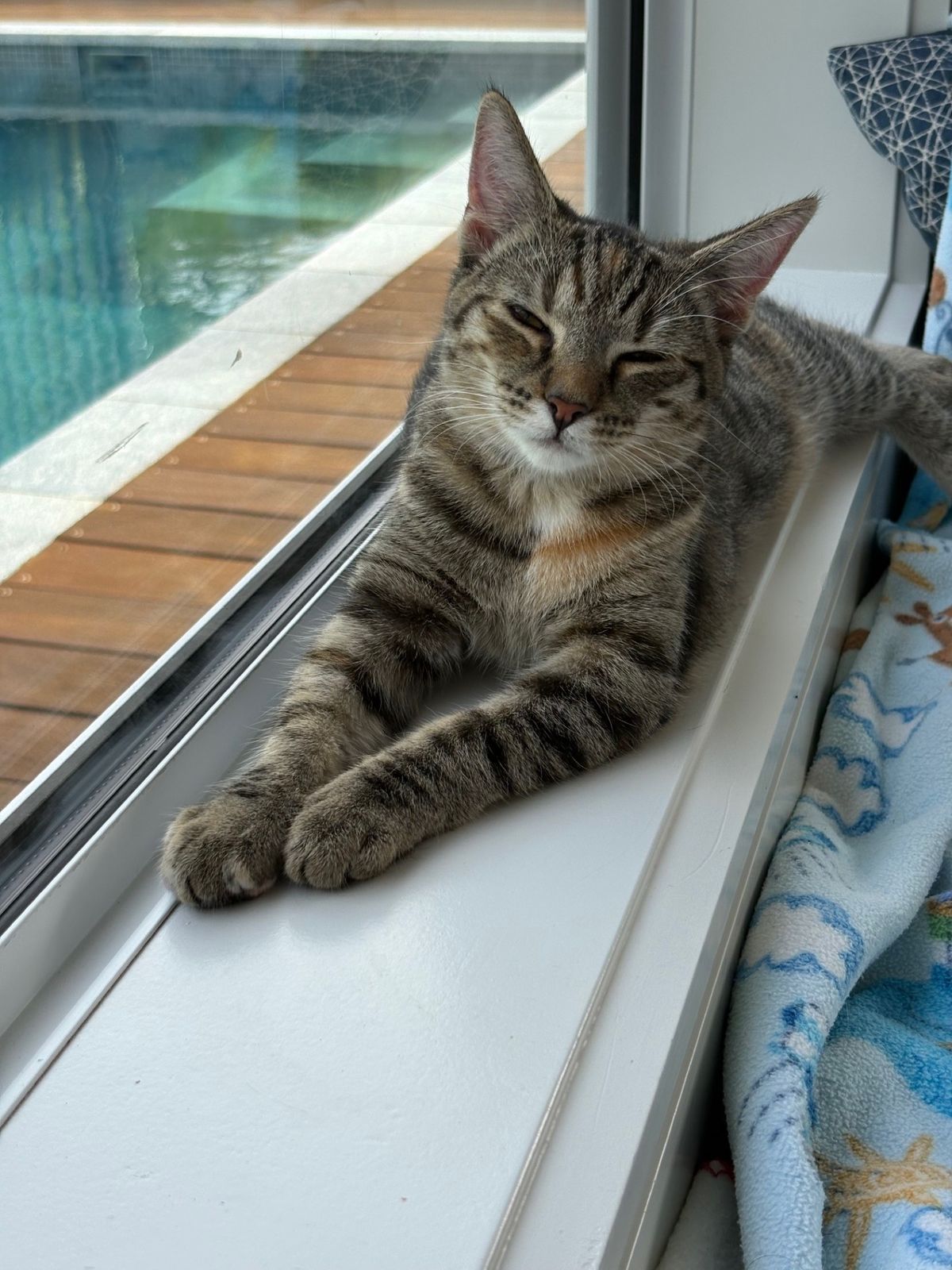 Gallery image: Millie