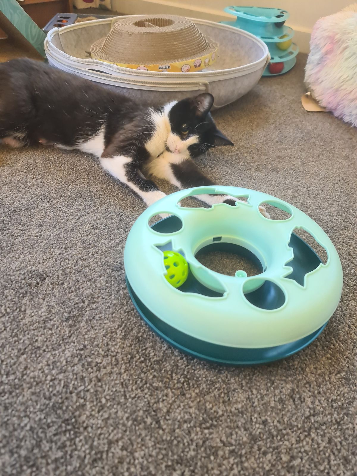 Gallery image: Planetarium