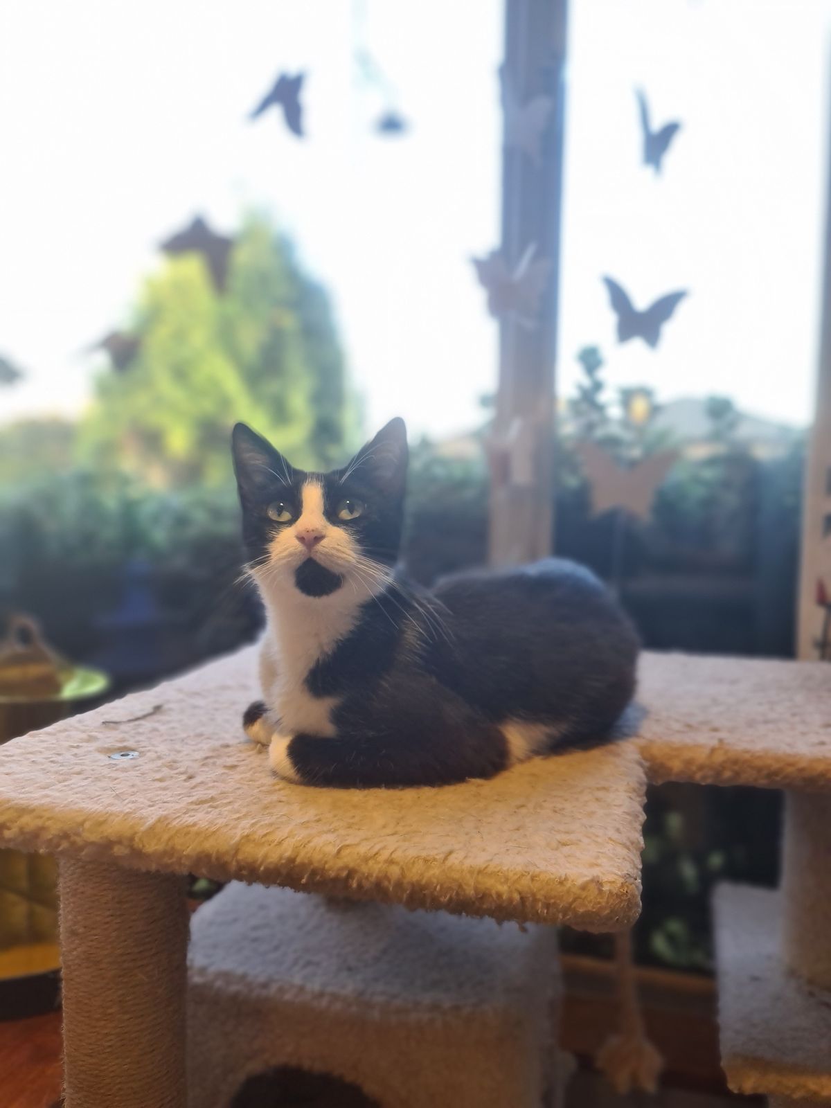 Gallery image: Planetarium