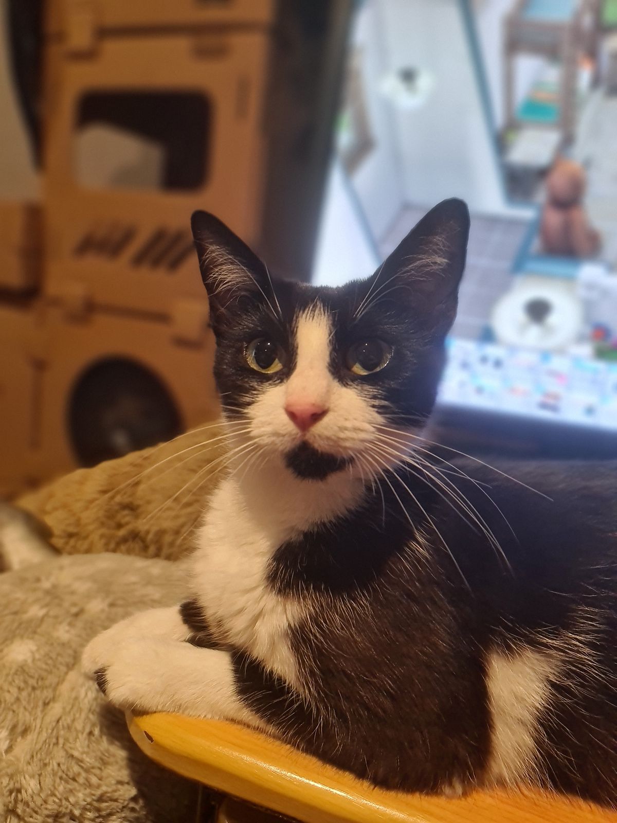 Gallery image: Planetarium