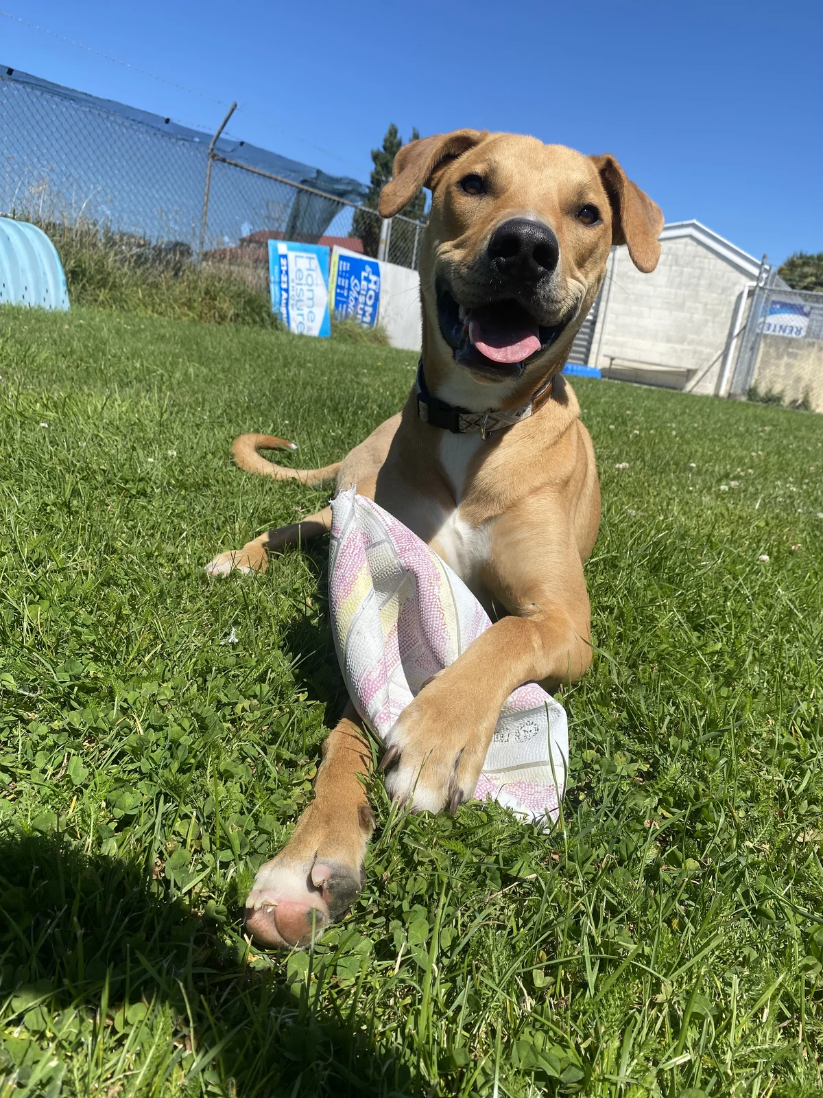 Gallery image: Zephyr