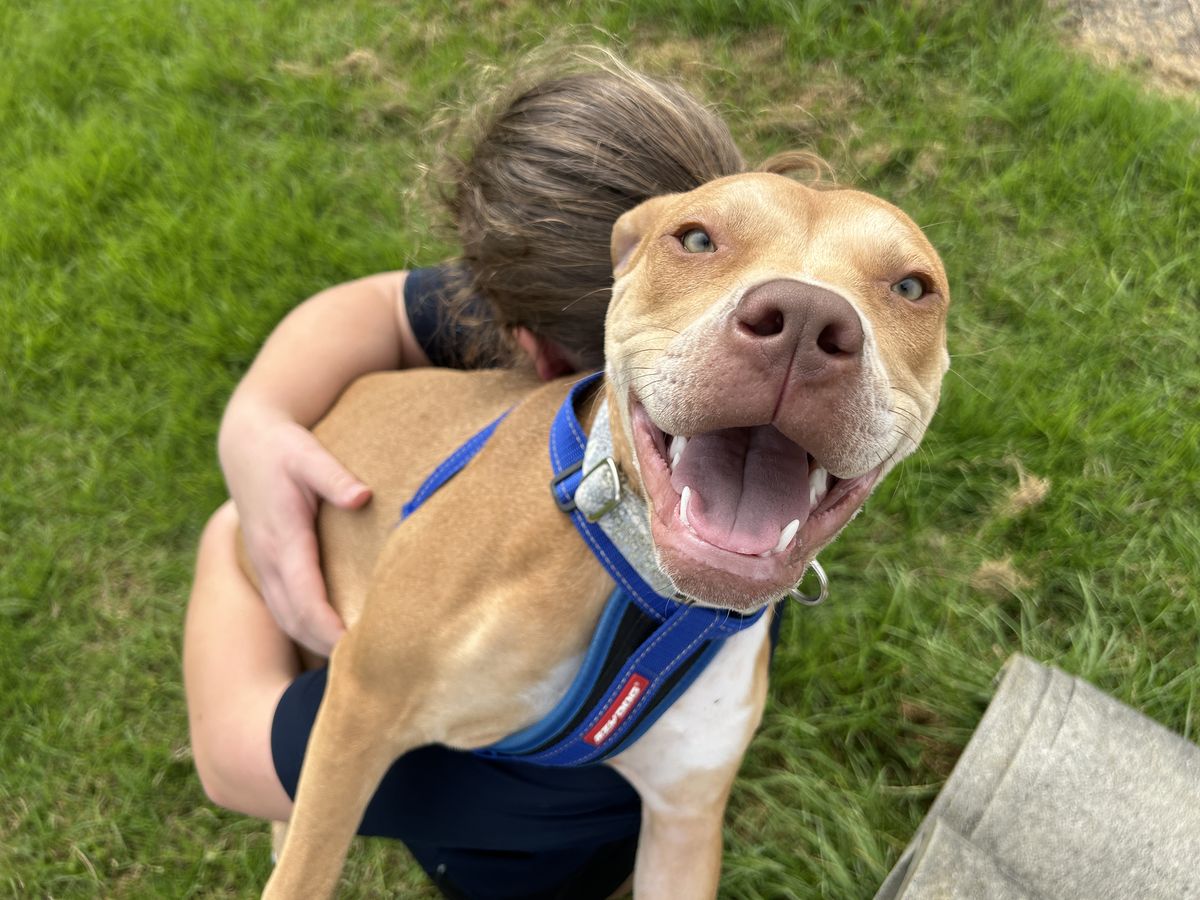 Gallery image: Thelma