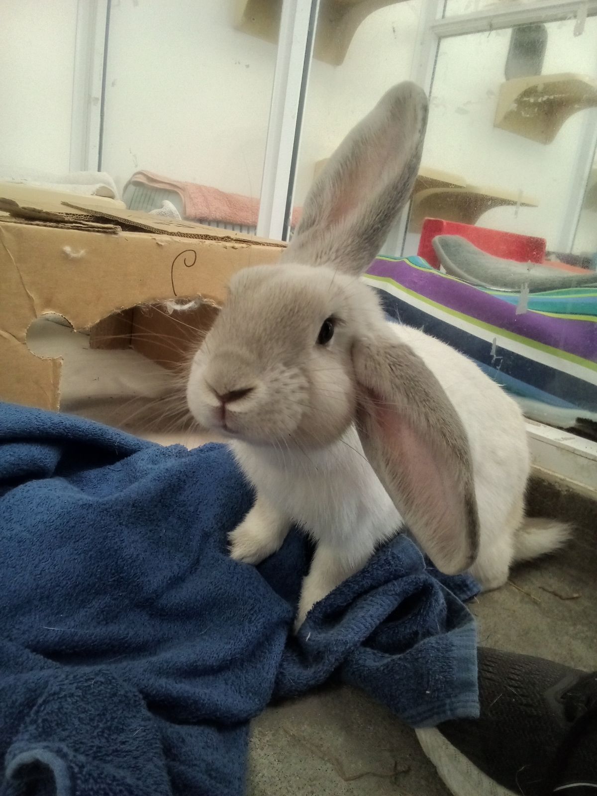 Gallery image: Flint