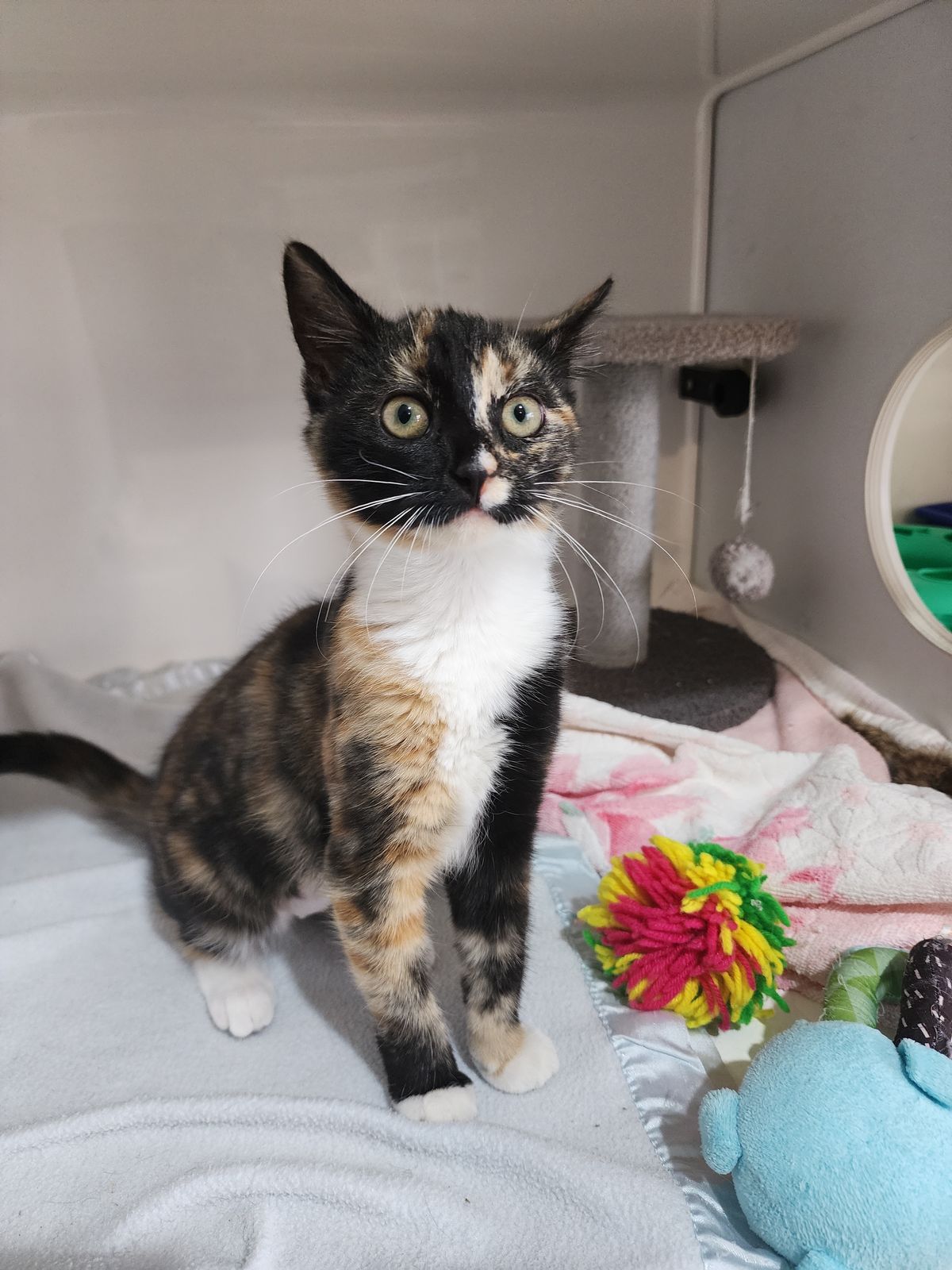 Gallery image: Thumbelina (lena) 