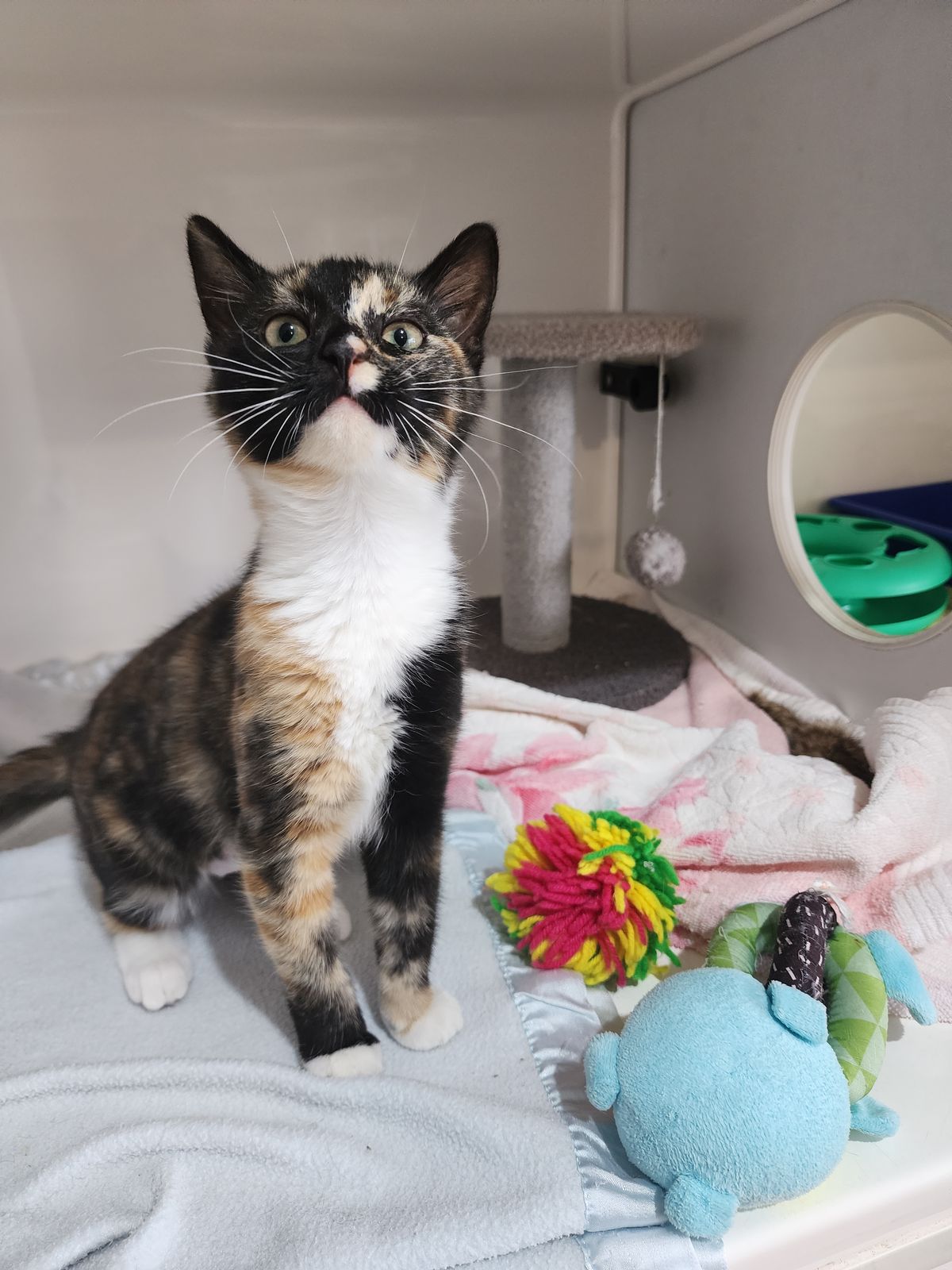 Gallery image: Thumbelina (lena) 