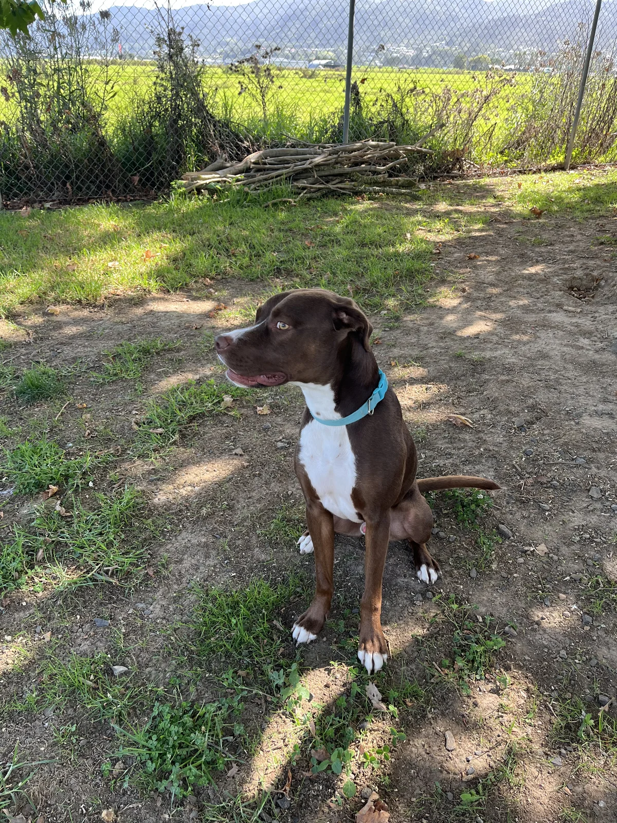 Gallery image: Titan