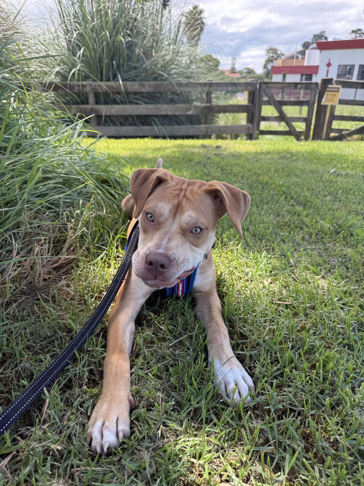 Gallery image: Thelma