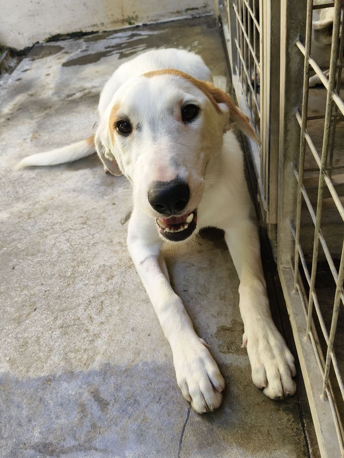 Gallery image: Chuck