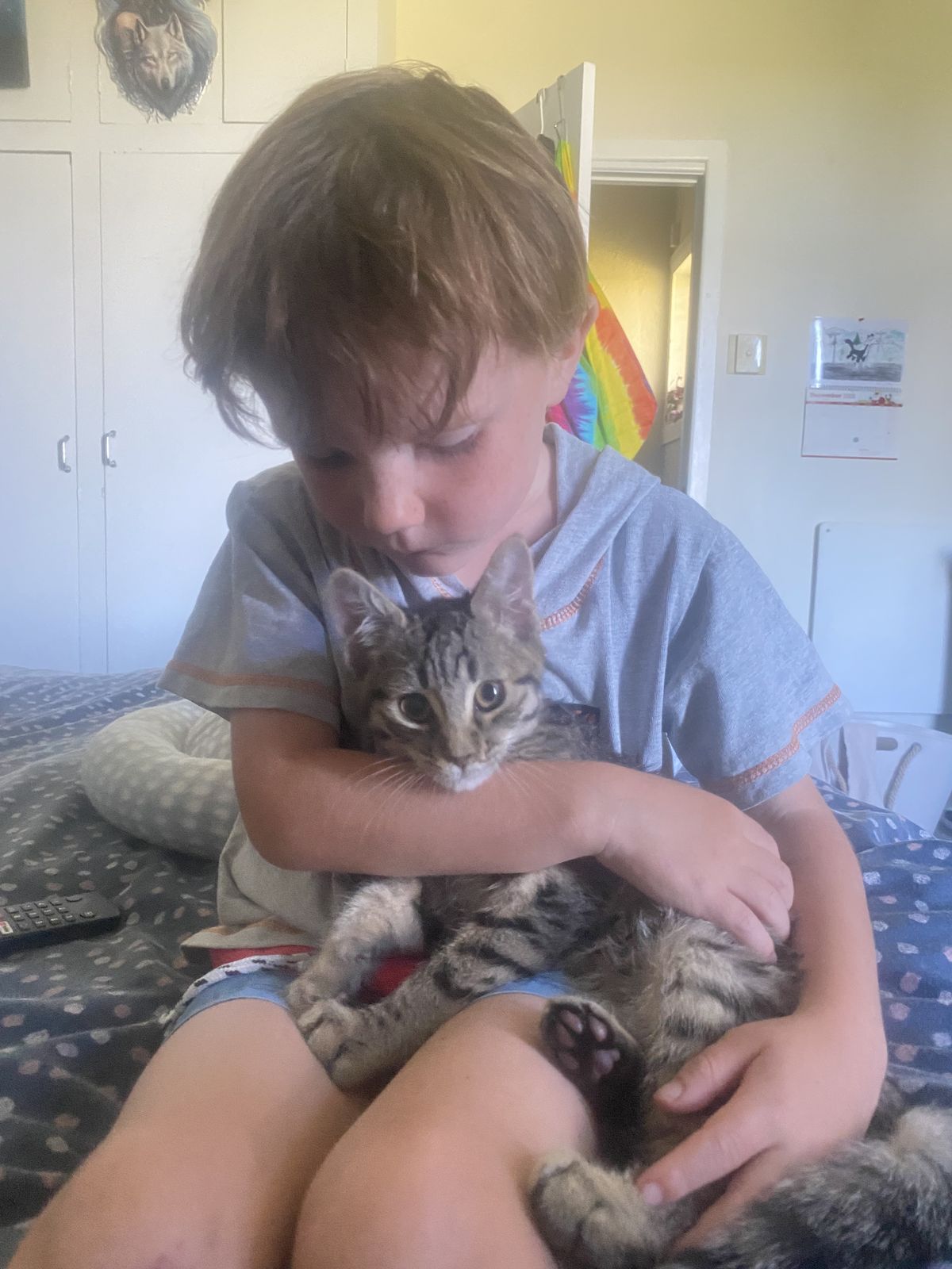 Gallery image: Wolfe