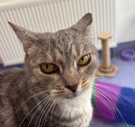 Gallery image: Freya