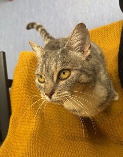 Gallery image: Freya