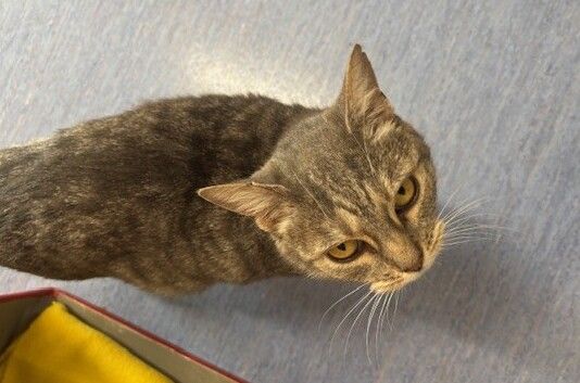 Gallery image: Freya