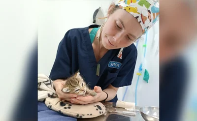 From rescued to rehomed: The Amazing Maurice