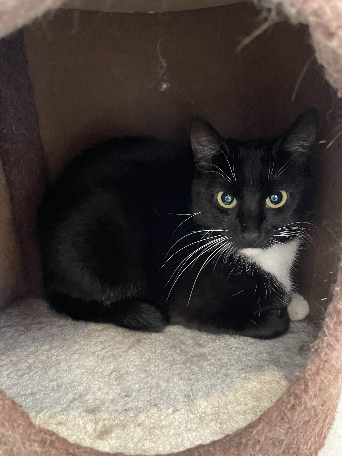 Gallery image: Flower