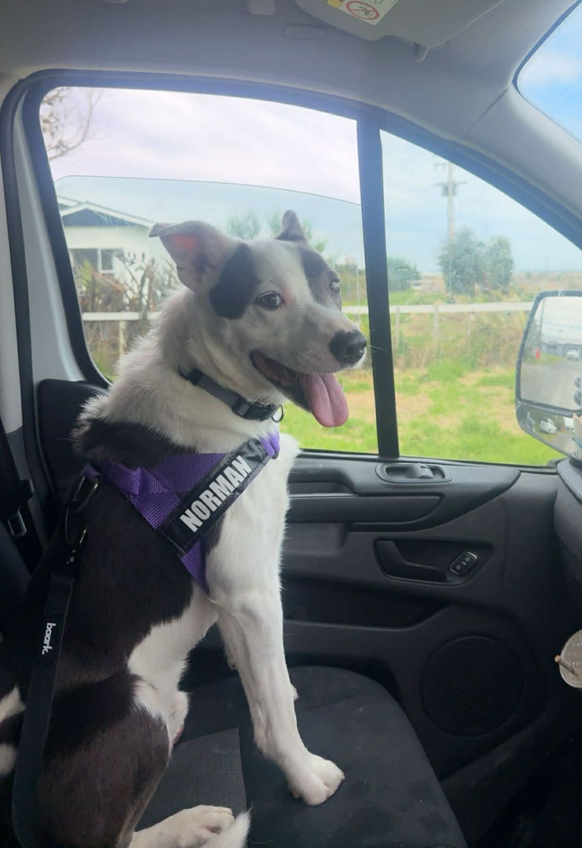 Gallery image: Zorro