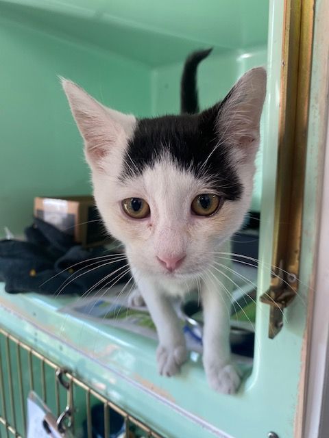 Gallery image: Jerry