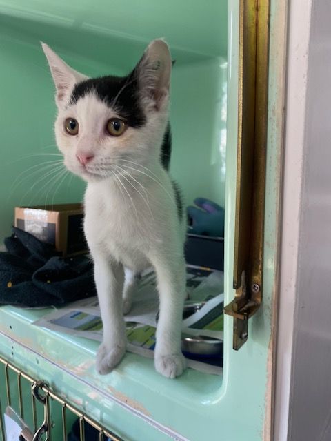 Gallery image: Jerry