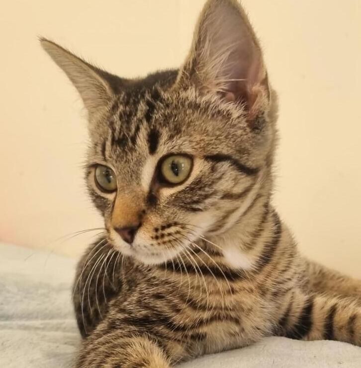 Gallery image: Miley