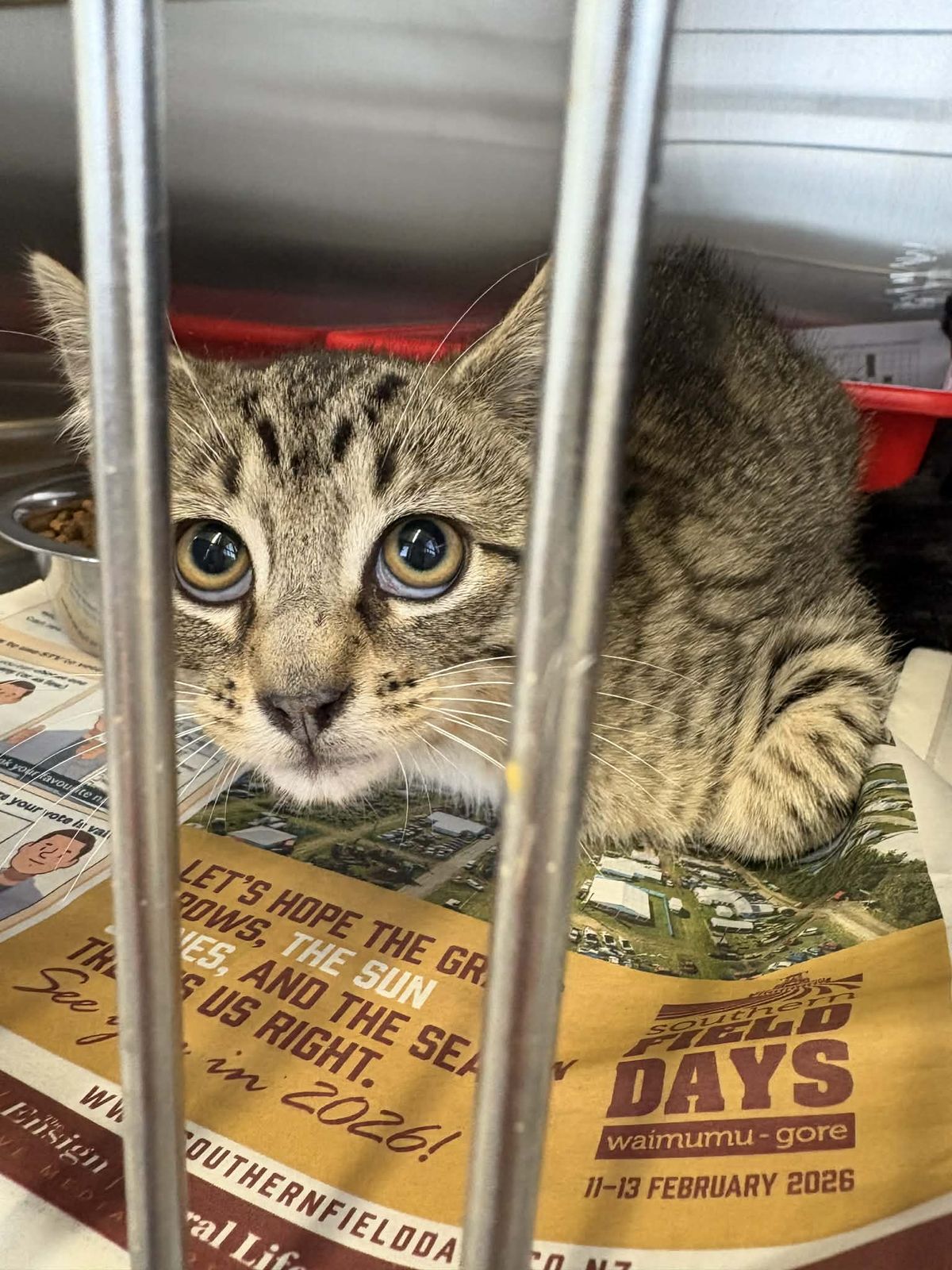 Gallery image: Jerry