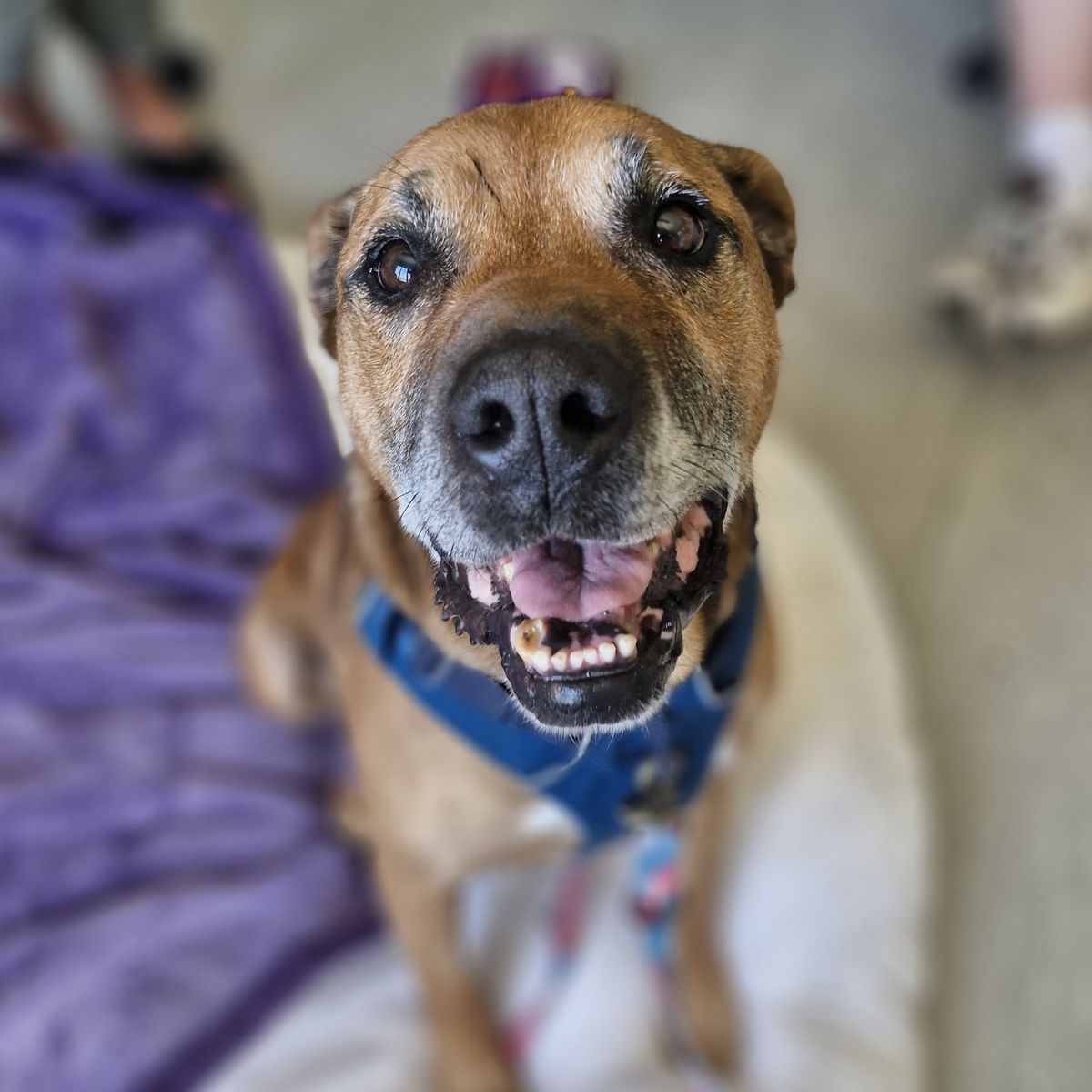 Gallery image: Steve