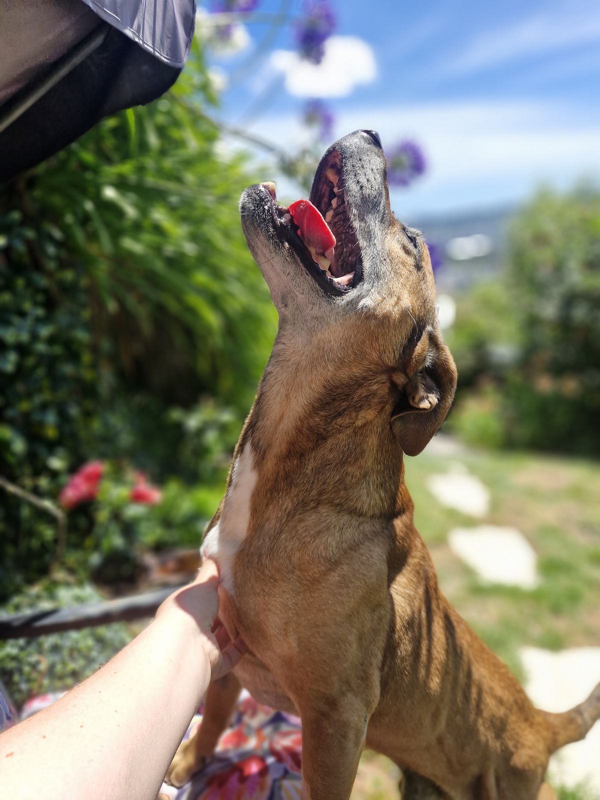 Gallery image: Steve